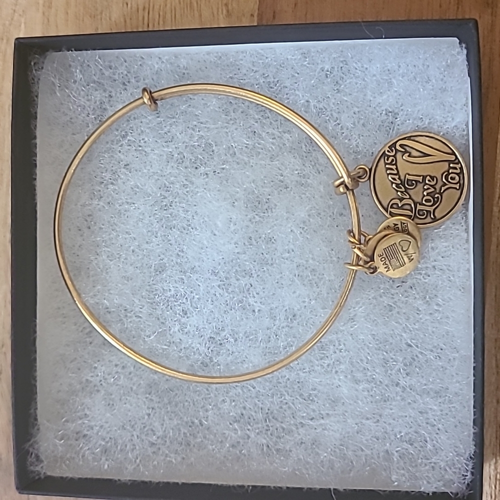 Alex and Ani Because I love you Gold bracelet - Picture 1 of 3